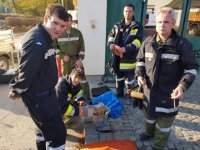 ausbildungstag2018 07