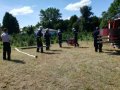 basisausbildung 1